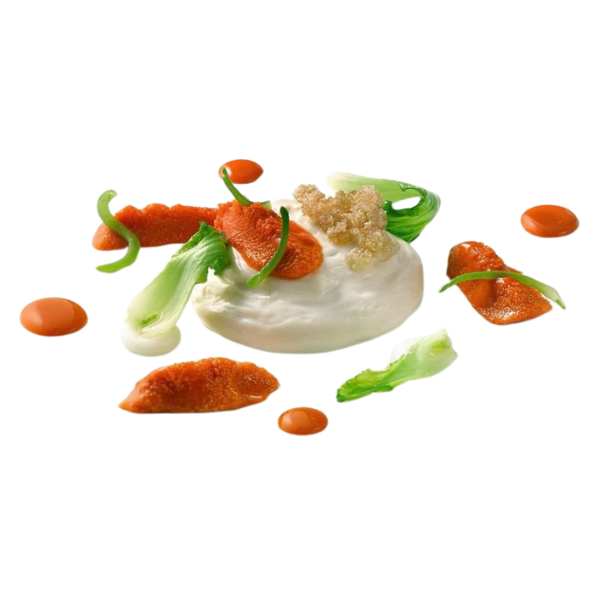 tuetano I+D Cocina RD gastronomic